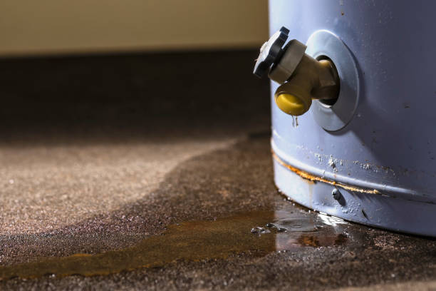 Best Ceiling water damage repair  in , DC