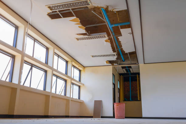 Best Flooded house restoration  in , DC