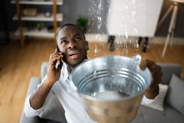 Best Flood restoration services  in , DC