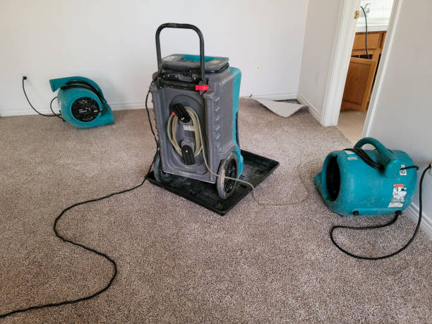 Best Carpet water damage restoration  in , DC