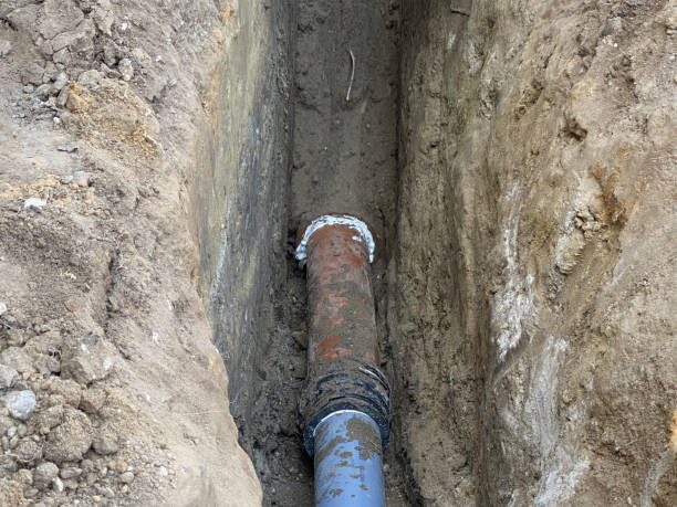 Best Water damage contractors near me  in , DC