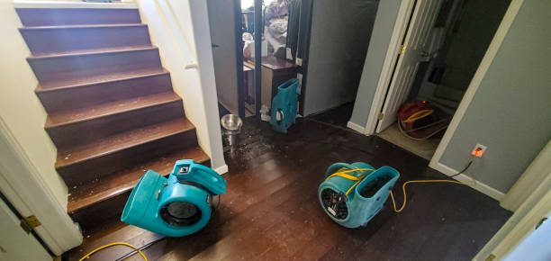 Best 24-hour water damage restoration  in , DC