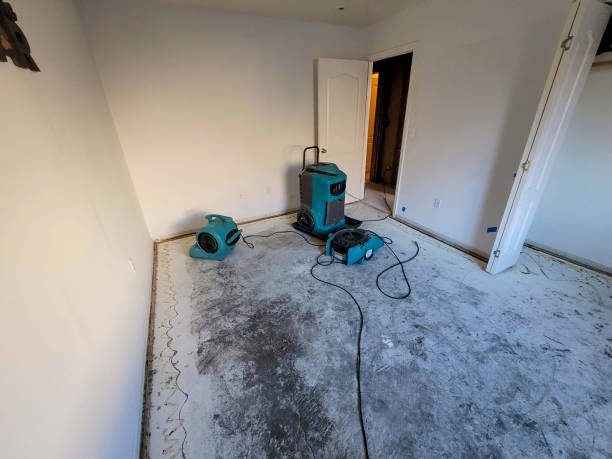 Best Carpet water damage restoration  in , DC
