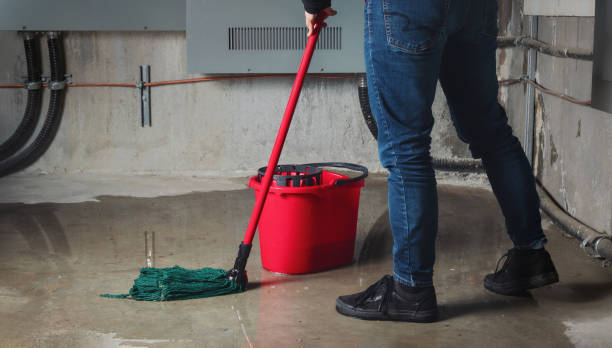 Best 24/7 water damage repair  in , DC