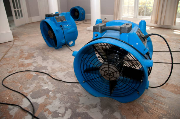 Best Flooded house restoration  in , DC