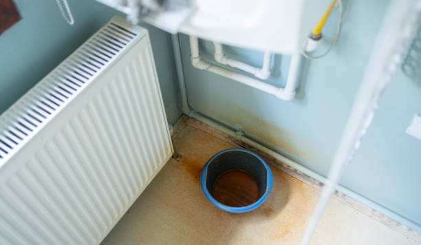 Best Basement water damage restoration  in , DC